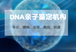 沈阳司法DNA亲子鉴定如何做预约咨询