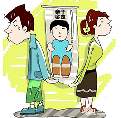 沈阳个人想办理亲子鉴定如何做，沈阳DNA亲子鉴定办理的条件