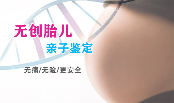 沈阳胎儿需要怎么办理DNA亲子鉴定,沈阳胎儿DNA亲子鉴定办理条件