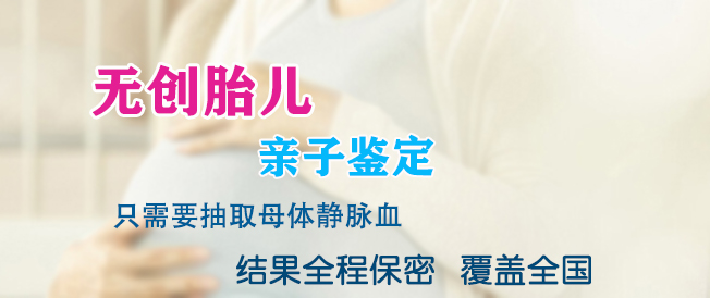 沈阳怀孕47天需要如何做无创胎儿亲子鉴定,沈阳办理无创孕期亲子鉴定多少费用 沈阳怀孕47天需要如何做无创胎儿亲子鉴定,沈阳办理无创孕期亲子鉴定多少费用