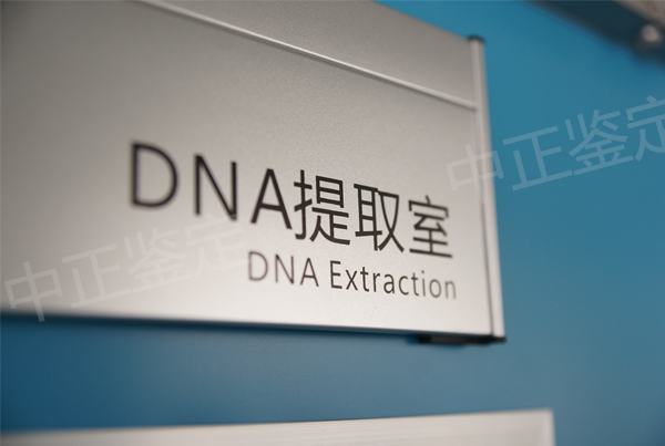 沈阳怀孕几个月如何确定孩子父亲是谁,沈阳孕期亲子鉴定费用多少钱啊 沈阳怀孕几个月如何确定孩子父亲是谁,沈阳孕期亲子鉴定费用多少钱啊