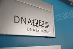 沈阳怀孕几个月如何确定孩子父亲是谁，沈阳孕期亲子鉴定费用多少钱啊