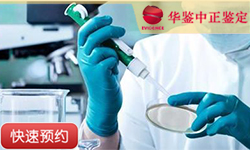沈阳同一父系亲缘鉴定